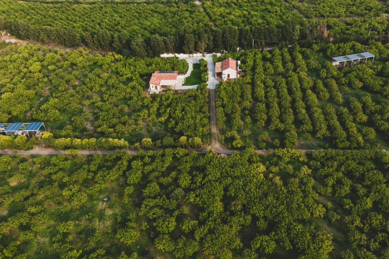 Il Limoneto Rooms Terme Vigliatore Exterior foto
